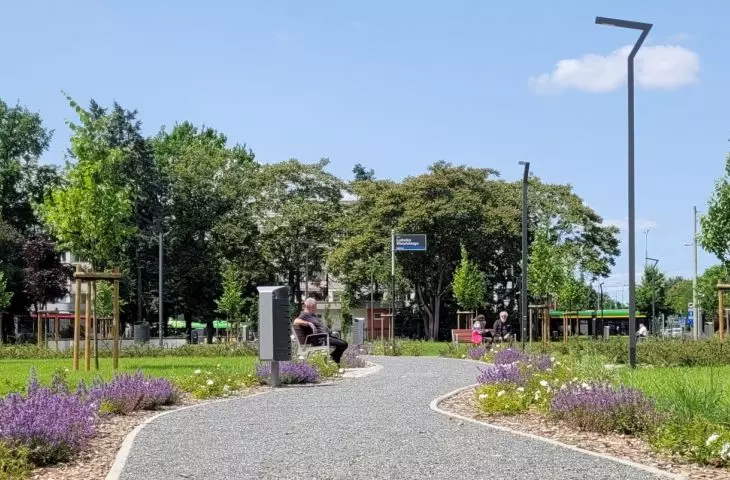 nowe zieleńce w Poznaniu
