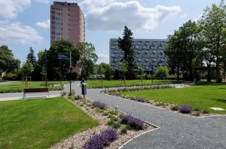 nowe zieleńce w Poznaniu
