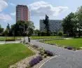 new green areas in Poznan