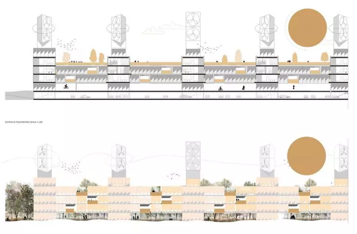 section, elevation