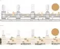 section, elevation