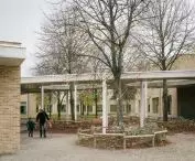 canopy with cutouts for trees