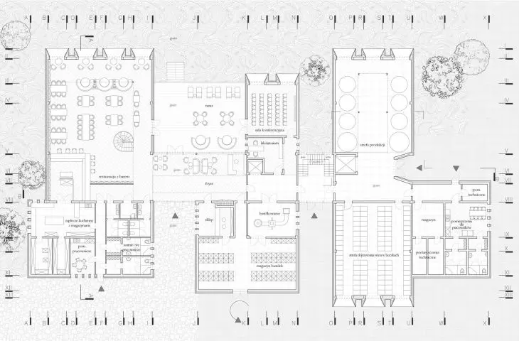 projection - first floor