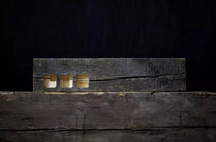 pavilion designed by Tom Svilans x THISS Studio