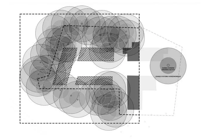 pattern of root occurrences in the area