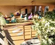 teahouse
