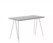 Biurko skog