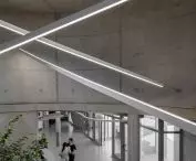 Szpital weterynaryjny w Tiranie