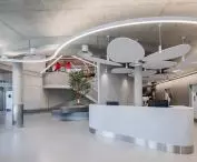 Szpital weterynaryjny w Tiranie