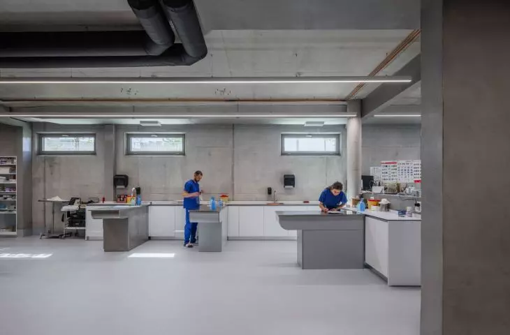 Szpital weterynaryjny w Tiranie