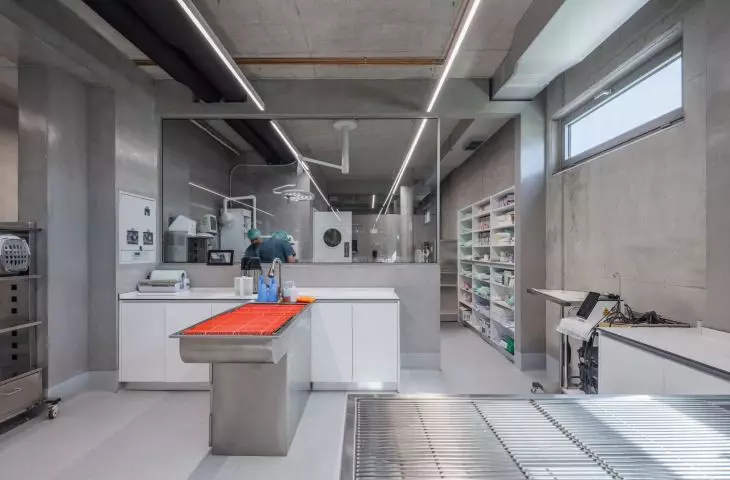 Szpital weterynaryjny w Tiranie