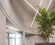 Szpital weterynaryjny w Tiranie