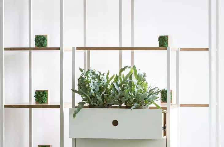 Drawer module vind