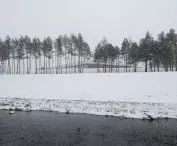 Mokslo Sala, czyli Wyspa Nauki w litewskim Kownie