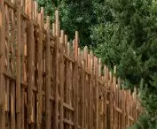 Pawilon „Dzika” nad Jeziorem Paprocańskim