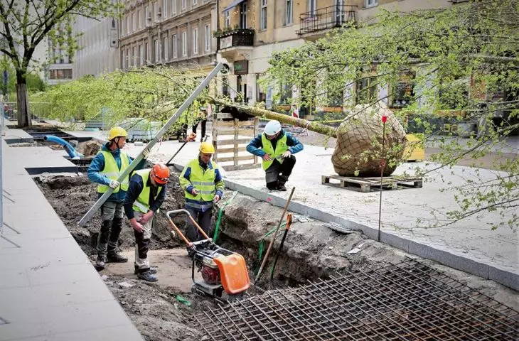 Planting trees on Zgoda Street