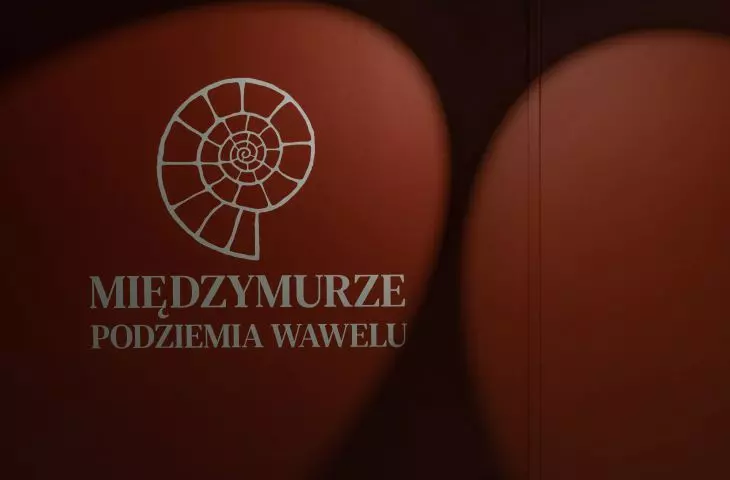 ammonite - sign of the exhibition 