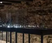 showcases with medieval weaponry
