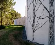 Fi pihlajalaakson