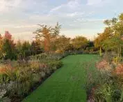 Garden in Genolier, geometric elements