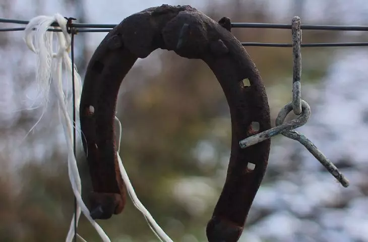 horseshoe