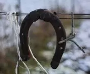 horseshoe