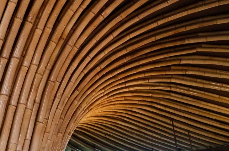 Xingcheng Exhibition Garden in Chengdu
