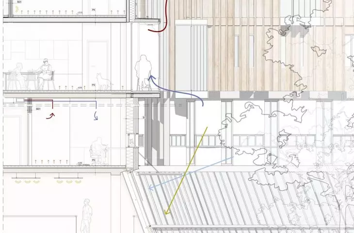 detail - expansion