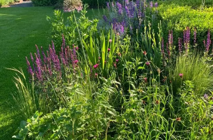 Garden in Genolier, flowers and color accents