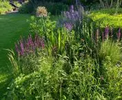Garden in Genolier, flowers and color accents