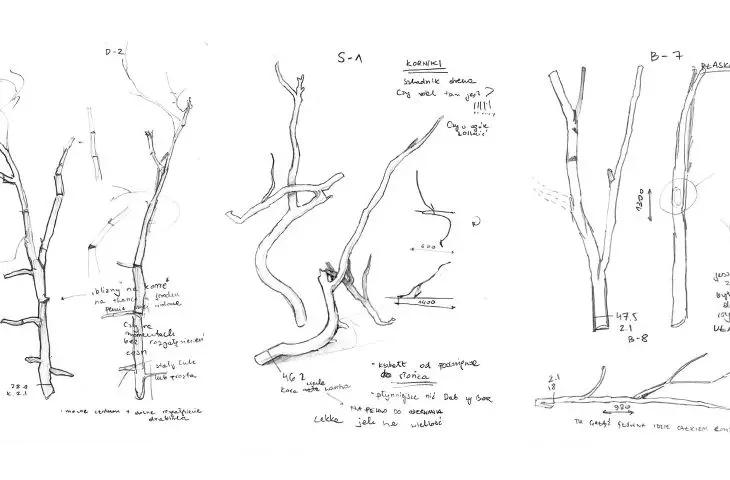 sketches