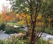 Garden in Genolier, small architecture