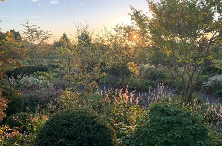 Garden in Genolier at sunset
