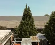 The designers were inspired by the shed roof of the production hall building designed by Jerzy Surma