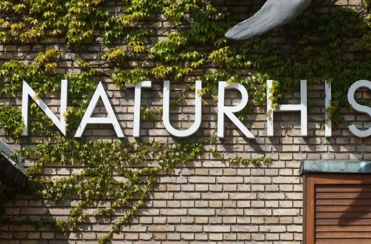 Aarhus University Campus, Denmark