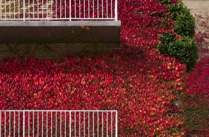 Aarhus University Campus, Denmark