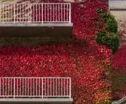Aarhus University Campus, Denmark