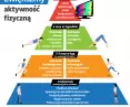 How to increase physical activity? Recommendations of the Chief Sanitary Inspectorate