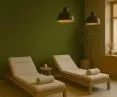 Relaxing space with moss