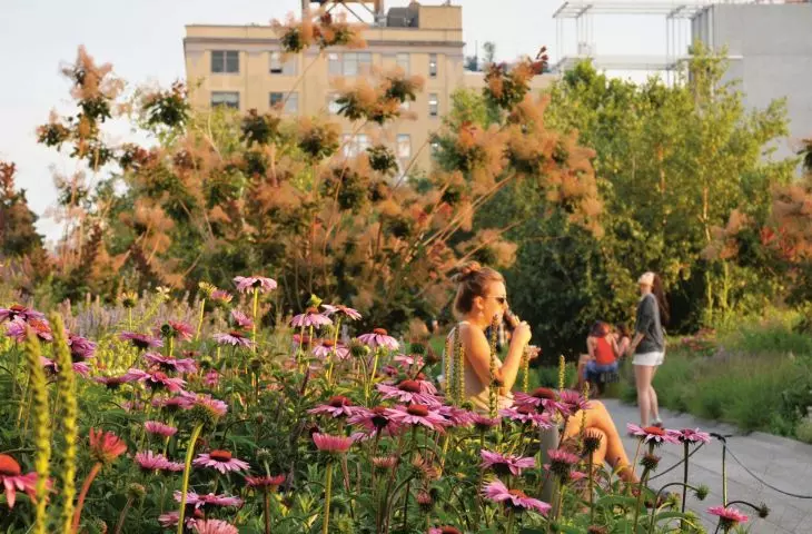 High Line w Nowym Yorku