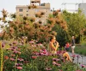 High Line w Nowym Yorku