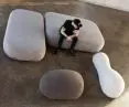 Delicious Concept modular sofa SEEX, designed by Andrzej Burawski