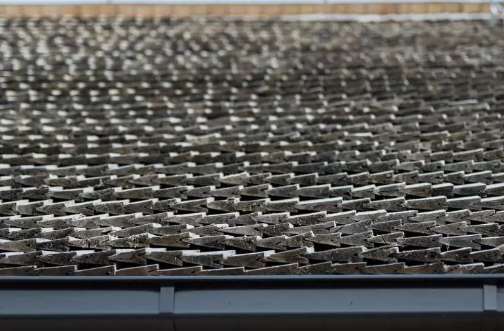 Wood Promotion Center, roof detail
