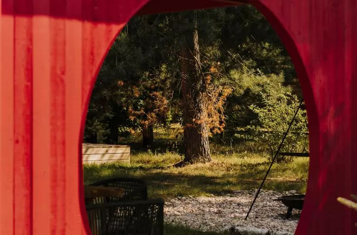A circular cutout in the pergola frames the view of a nearby tree