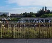 Ostrów Tumski w Poznaniu