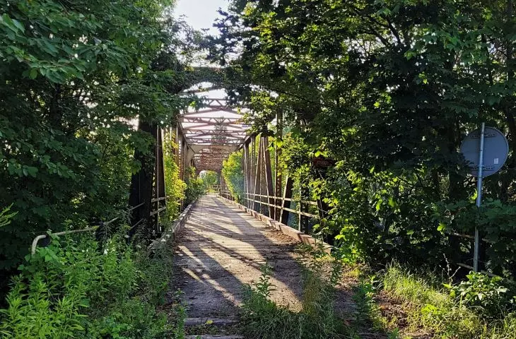 Ostrów Tumski w Poznaniu