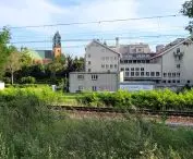 Ostrów Tumski w Poznaniu