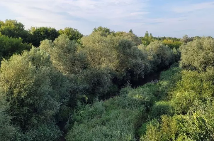Ostrów Tumski w Poznaniu