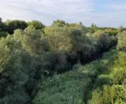 Ostrów Tumski w Poznaniu