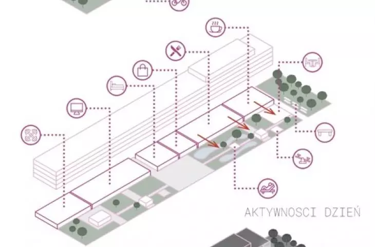 schemat zieleni i aktywności w dzień i w nocy